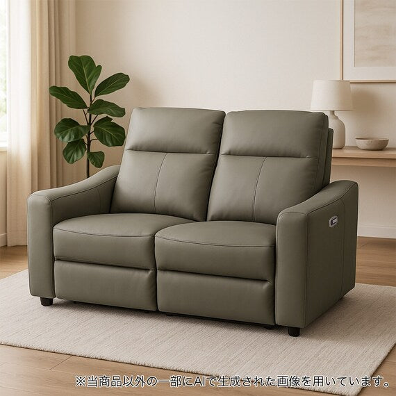 2 SEATER ELECTRIC SOFA UM04 DGY
